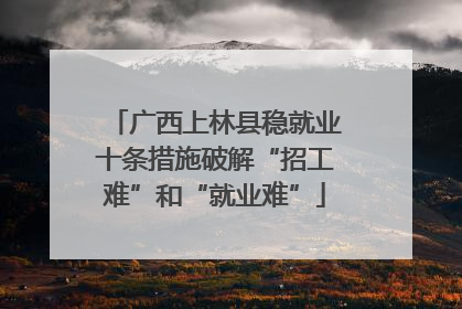广西上林县稳就业十条措施破解“招工难”和“就业难”