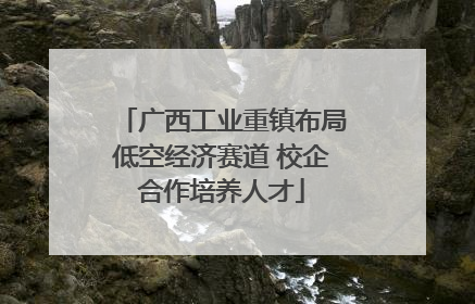 广西工业重镇布局低空经济赛道 校企合作培养人才