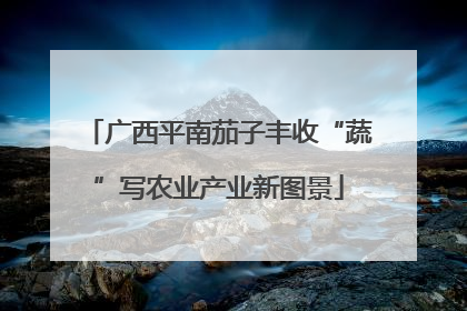 广西平南茄子丰收“蔬”写农业产业新图景