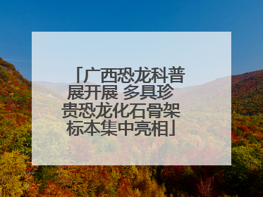 广西恐龙科普展开展 多具珍贵恐龙化石骨架标本集中亮相