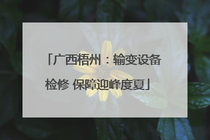 广西梧州：输变设备检修 保障迎峰度夏