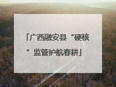广西融安县“硬核”监管护航春耕