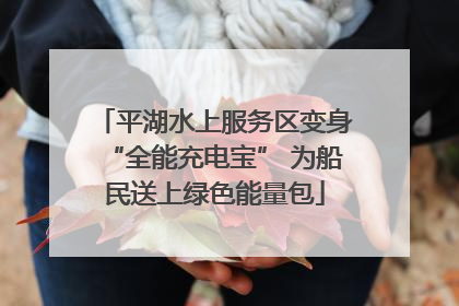 平湖水上服务区变身“全能充电宝” 为船民送上绿色能量包