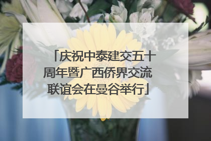 庆祝中泰建交五十周年暨广西侨界交流联谊会在曼谷举行