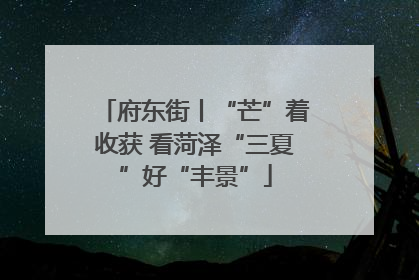 府东街丨“芒”着收获 看菏泽“三夏”好“丰景”