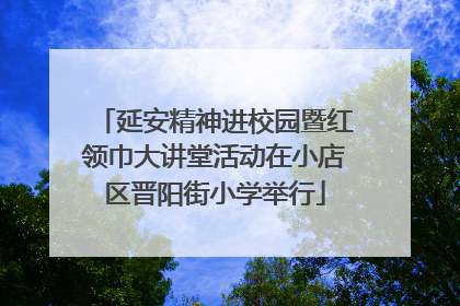延安精神进校园暨红领巾大讲堂活动在小店区晋阳街小学举行