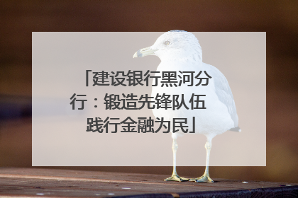 建设银行黑河分行：锻造先锋队伍 践行金融为民