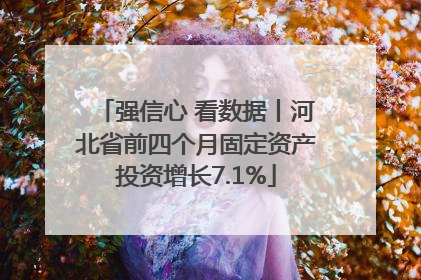 强信心 看数据丨河北省前四个月固定资产投资增长7.1%