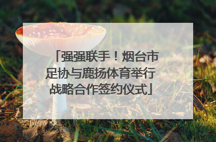 强强联手！烟台市足协与鹿扬体育举行战略合作签约仪式