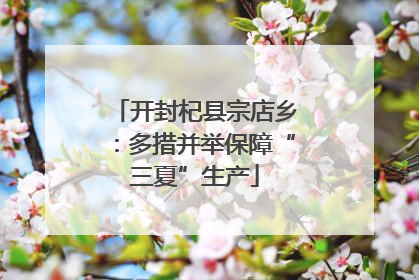 开封杞县宗店乡：多措并举保障“三夏”生产
