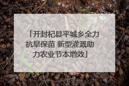 开封杞县平城乡全力抗旱保苗 新型灌溉助力农业节本增效
