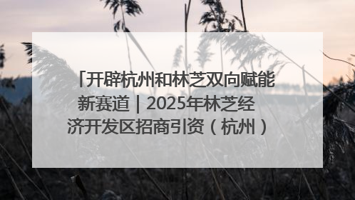开辟杭州和林芝双向赋能新赛道｜2025年林芝经济开发区招商引资（杭州）推介展销活动在杭举办