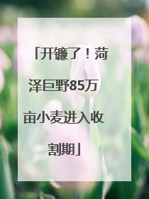 开镰了！菏泽巨野85万亩小麦进入收割期