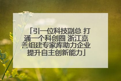 引一位科技副总 打通一个科创圈 浙江嘉善组建专家库助力企业提升自主创新能力