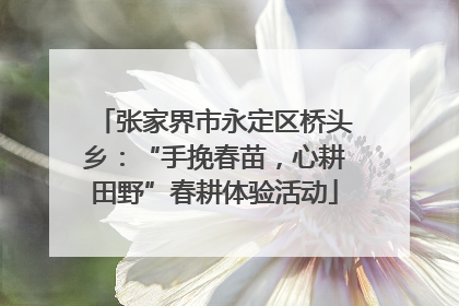 张家界市永定区桥头乡：“手挽春苗，心耕田野”春耕体验活动
