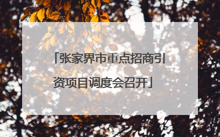 张家界市重点招商引资项目调度会召开