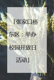 张家口桥东区：举办校园开放日活动