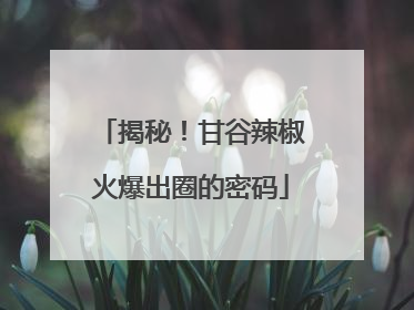 揭秘！甘谷辣椒火爆出圈的密码