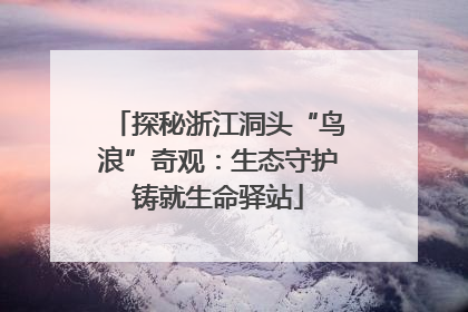 探秘浙江洞头“鸟浪”奇观：生态守护铸就生命驿站