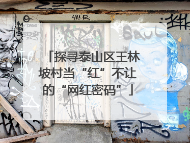 探寻泰山区王林坡村当“红”不让的“网红密码”