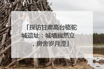 探访甘肃高台骆驼城遗址：城墙巍然立，房舍岁月湮