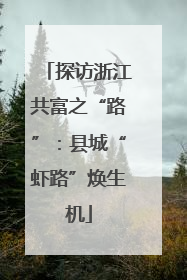 探访浙江共富之“路”：县城“虾路”焕生机