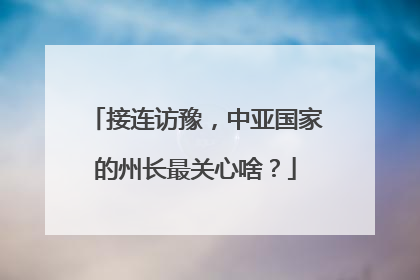 接连访豫，中亚国家的州长最关心啥？