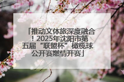 推动文体旅深度融合！2025年沈阳市第五届“联盟杯”橄榄球公开赛燃情开赛
