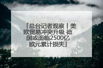 总台记者观察丨美欧贸易冲突升级 德国或面临2500亿欧元累计损失