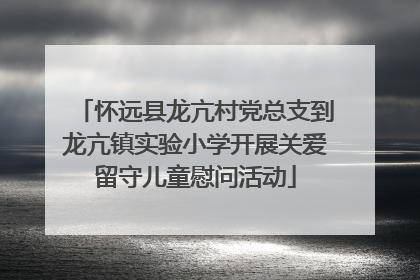怀远县龙亢村党总支到龙亢镇实验小学开展关爱留守儿童慰问活动
