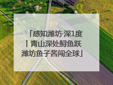 感知潍坊·深1度丨青山深处鲟鱼跃 潍坊鱼子酱闯全球