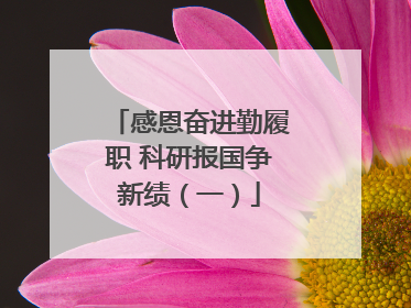 感恩奋进勤履职 科研报国争新绩（一）