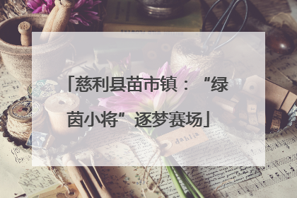 慈利县苗市镇：“绿茵小将”逐梦赛场