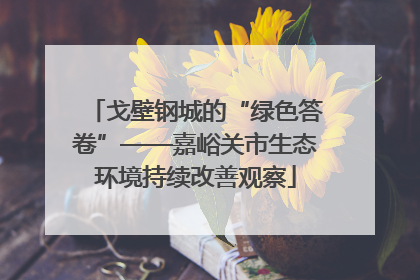 戈壁钢城的“绿色答卷”——嘉峪关市生态环境持续改善观察