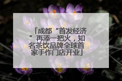 成都“首发经济”再添一把火，知名茶饮品牌全球首家手作门店开业
