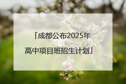 成都公布2025年高中项目班招生计划