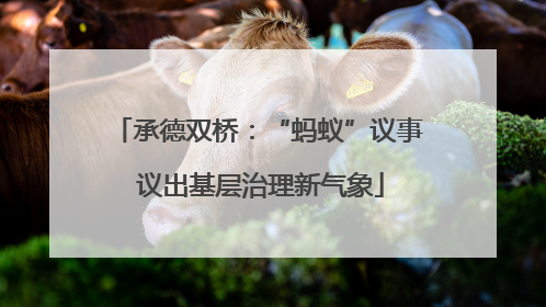 承德双桥：“蚂蚁”议事 议出基层治理新气象