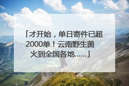 才开始，单日寄件已超2000单！云南野生菌火到全国各地……