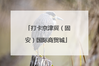打卡京津冀（固安）国际商贸城