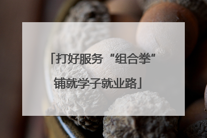 打好服务“组合拳” 铺就学子就业路
