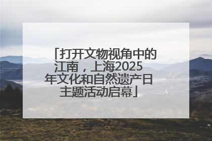 打开文物视角中的江南，上海2025年文化和自然遗产日主题活动启幕