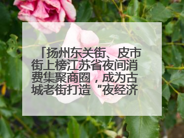 扬州东关街、皮市街上榜江苏省夜间消费集聚商圈，成为古城老街打造“夜经济”的样本