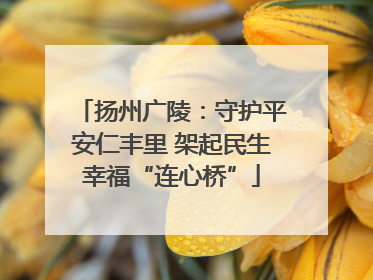 扬州广陵：守护平安仁丰里 架起民生幸福“连心桥”