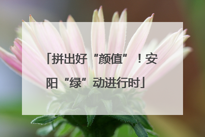 拼出好“颜值”！安阳“绿”动进行时