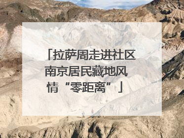 拉萨周走进社区 南京居民藏地风情“零距离”