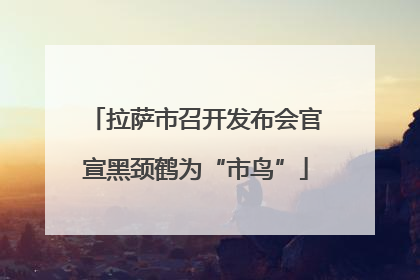 拉萨市召开发布会官宣黑颈鹤为“市鸟”