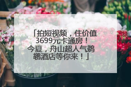 拍短视频，住价值3699元卡通房！今夏，舟山超人气鹈鹕酒店等你来！
