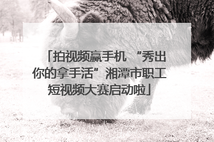 拍视频赢手机 “秀出你的拿手活”湘潭市职工短视频大赛启动啦