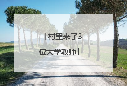 村里来了3位大学教师