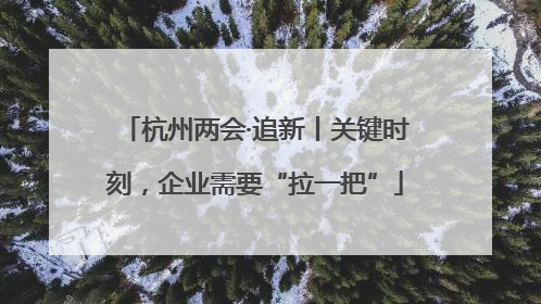杭州两会·追新丨关键时刻，企业需要“拉一把”